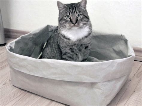 Washable Cat Bed Box