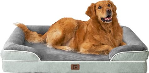 washable dog beds with sides