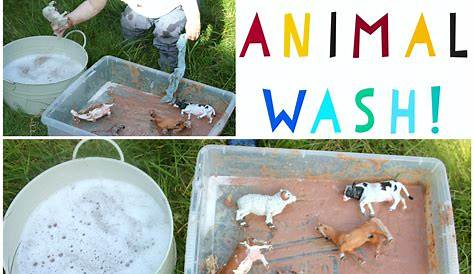 Unleash The Secrets Of Animal Washing: A Comprehensive Guide For Pet Owners