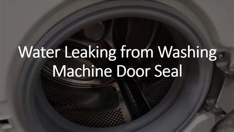 Washing Machine Leaking At Door