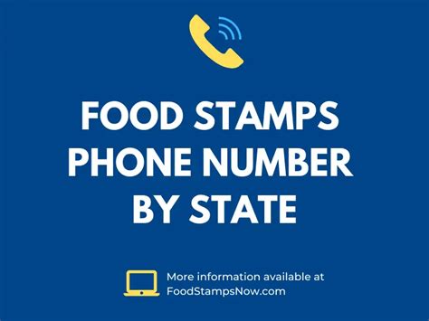 How to Apply for Food Stamps in Washington 15 Steps