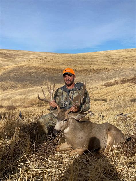 washington mule deer hunting