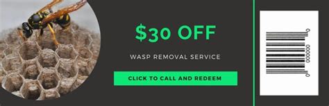 wasp exterminator indianapolis coupons