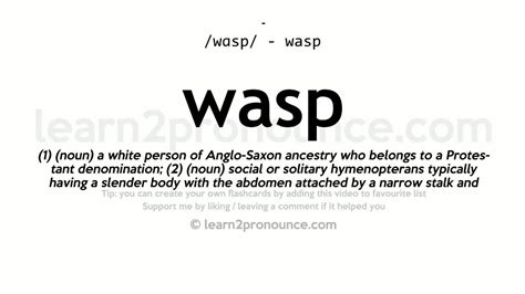 wasp meaning urban dictionary