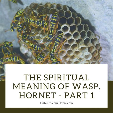 wasp nest spiritual meaning