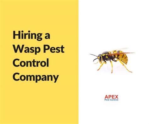 wasp pest control indian land sc