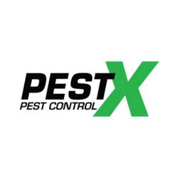 wasp pest control shelby township