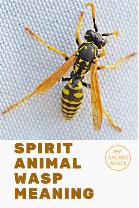 wasp spirit animal meaning