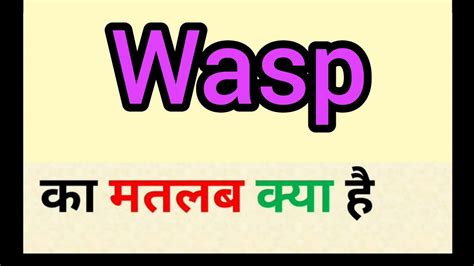 wasps meaning in hindi