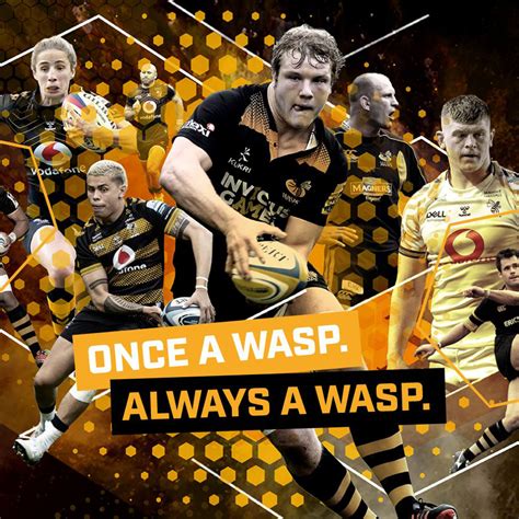 wasps rugby football club