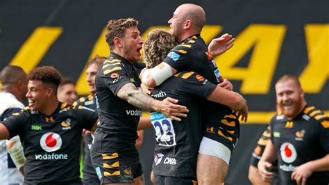 wasps rugby latest news