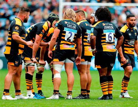 wasps rugby news 