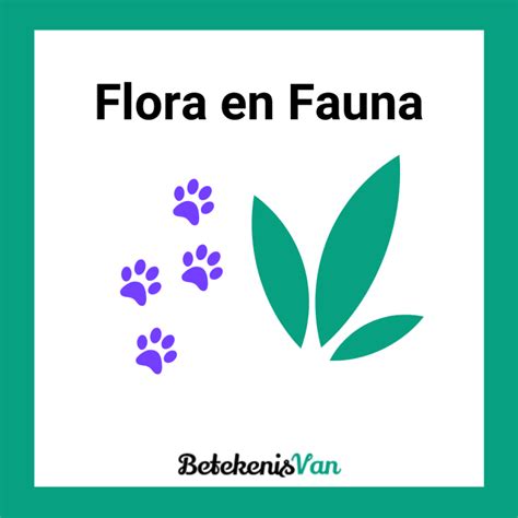 wat betekent fauna en flora