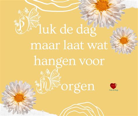 wat is de quote van de dag