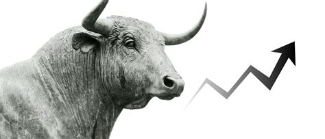 wat is een bull market