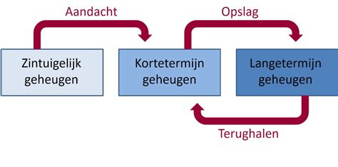 wat is lange termijn