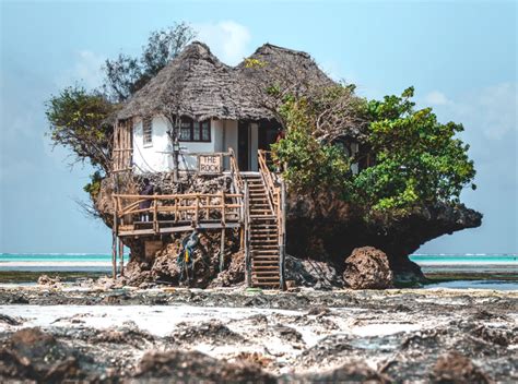 wat te doen op zanzibar