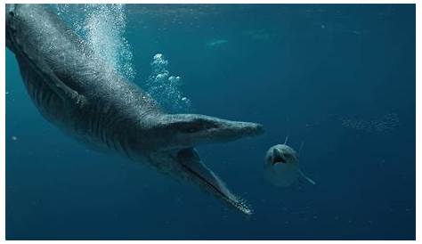 How to watch Attenborough and the Giant Sea Monster online or on TV