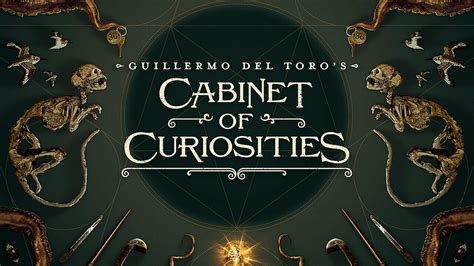watch cabinet of curiosities