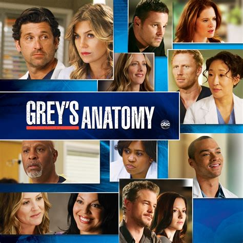 watch grey's anatomy season 8