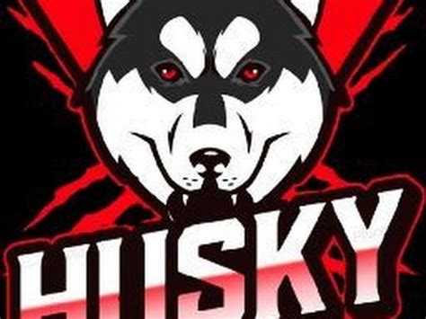 watch husky game live
