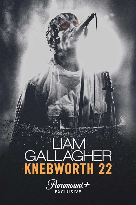 watch liam gallagher knebworth online free