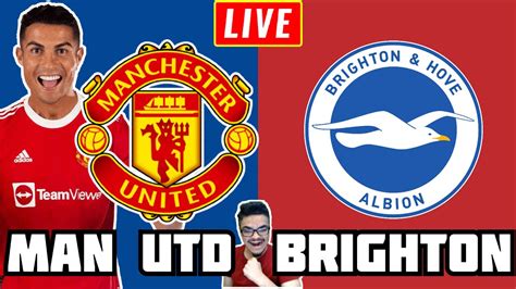 watch man united vs brighton live
