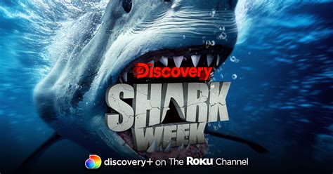 watch shark week 2022 online free