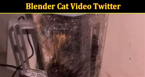 watchpeopledie.tv cat blender
