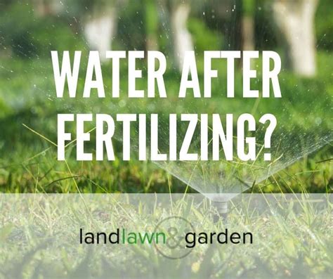 Water Your Lawn Before or After Fertilizing? The Ultimate Guide
