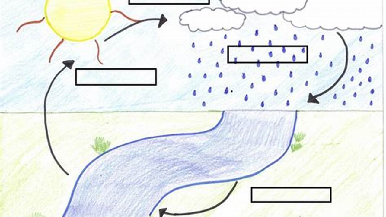 Uncover the Secrets of the Water Cycle: Fill-in-the-Blank Diagram Decoded
