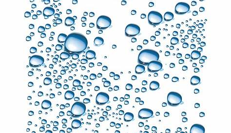 Download Water Drop Transparent Image HQ PNG Image | FreePNGImg