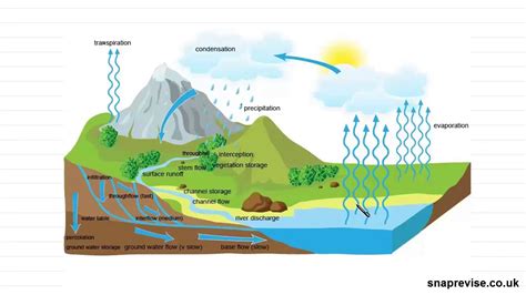 water and carbon cycle a level geography ocr