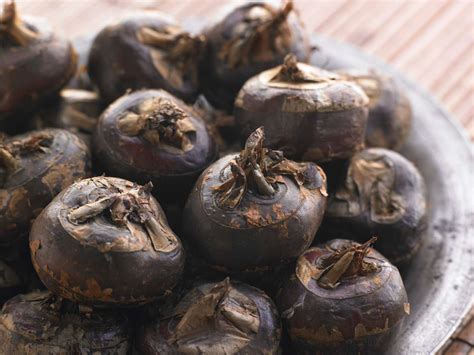 Water Chestnut Definition