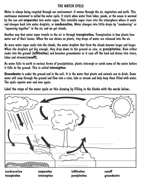 water cycle 5th grade pdf