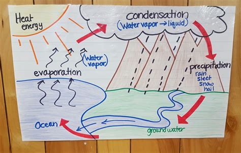 water cycle 9th grade