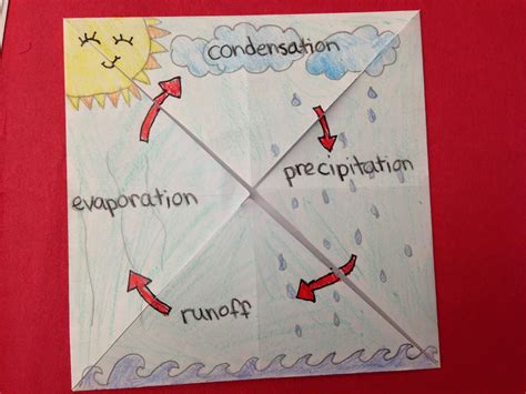 water cycle activity middle school