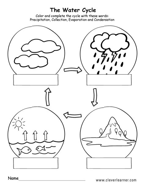 water cycle coloring sheet first grade