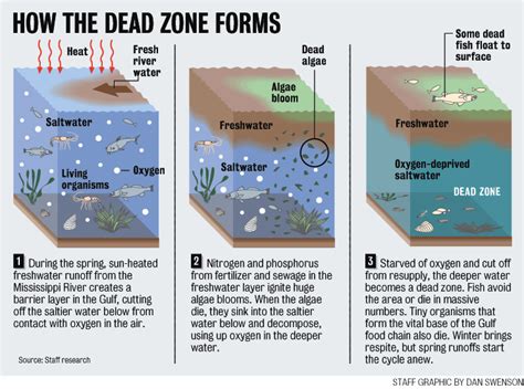 Water Cycle Dead Zone