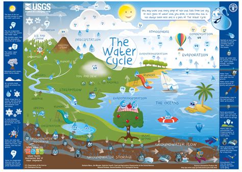 water cycle diagram 6th grade