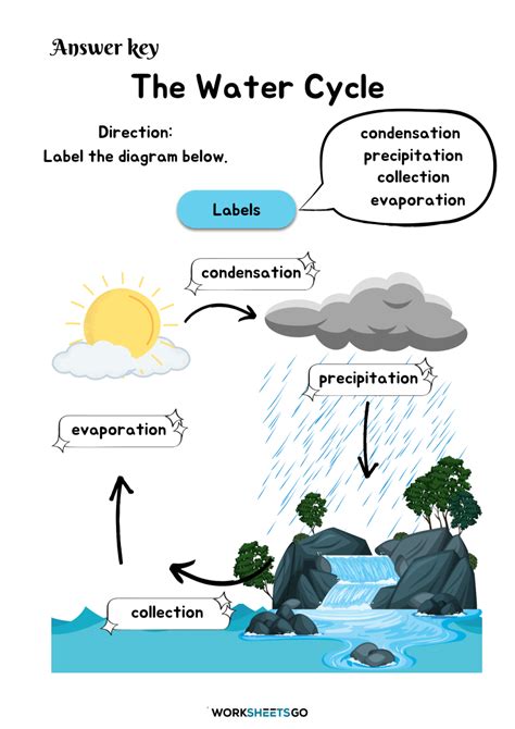 Water Cycle Diagram Answer Key