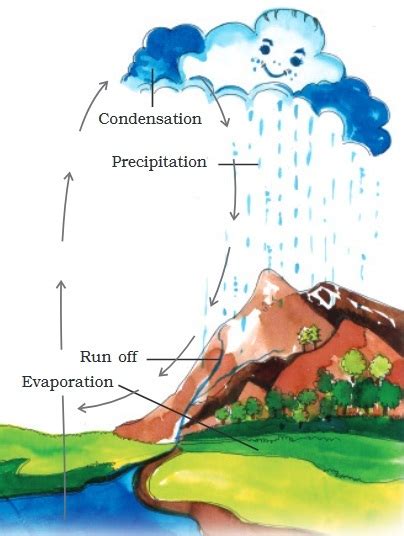 water cycle diagram class 7 geography