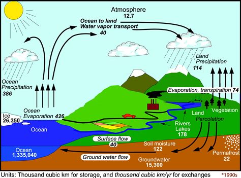 water cycle diagram detailed