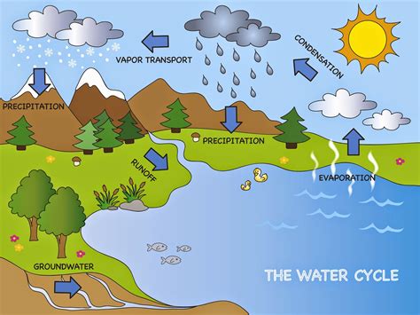 water cycle diagram for kids