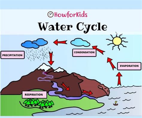 water cycle diagram for kids to make