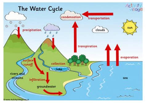 water cycle diagram labeled easy