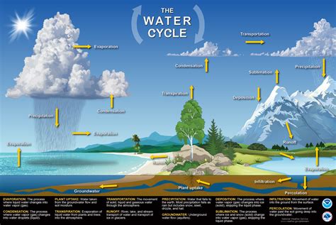 water cycle diagram to complete