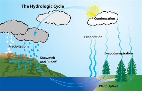 water cycle diagram with labels