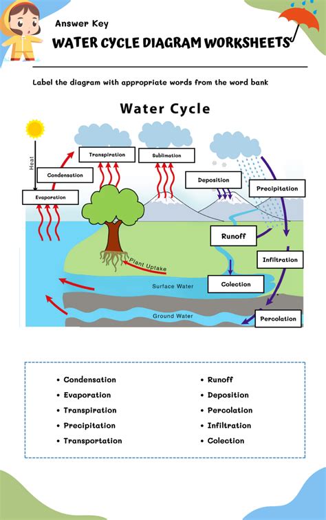 water cycle diagram worksheet answer key