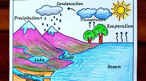 Water Cycle Drawing For Class 7Th